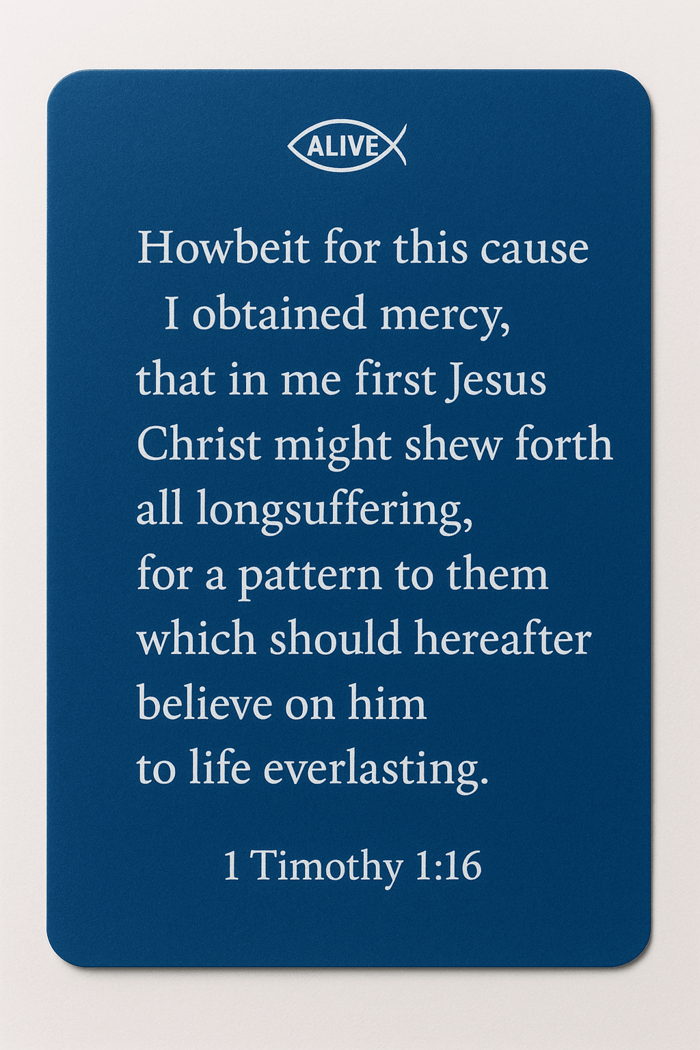 pattern of longsuffering scripture