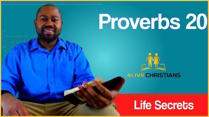 (Full) Proverbs 20 KJV - The Scripture Of The Day