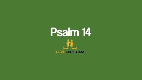 (Full) Psalm 14 KJV - The Scripture For Today