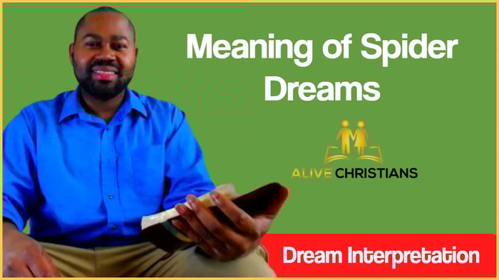Meaning of Spider in the Dream- Biblical Interpretation