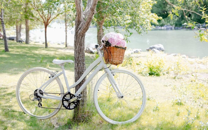 Why You Need to Do Something You Love Every Single Day