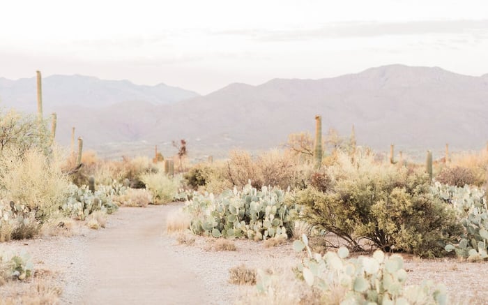 The Importance of Paths – Are You on the Right Path?