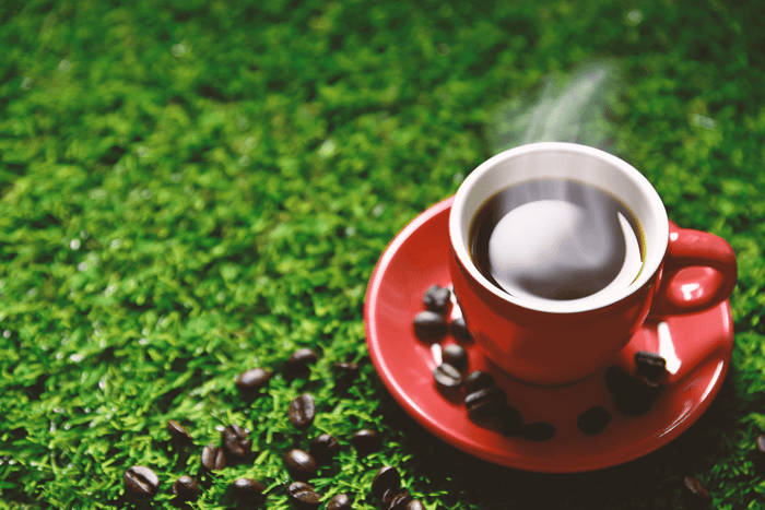 Why Does My Coffee Taste Like Grass?