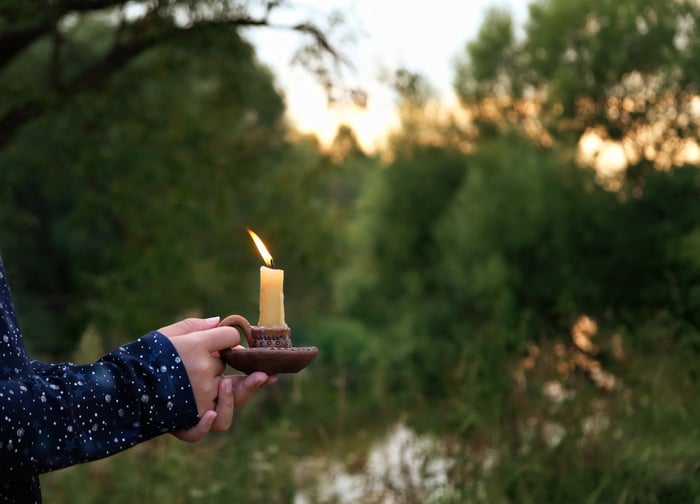 THE TAMED WILD COVEN: AUGUST SCHEDULE