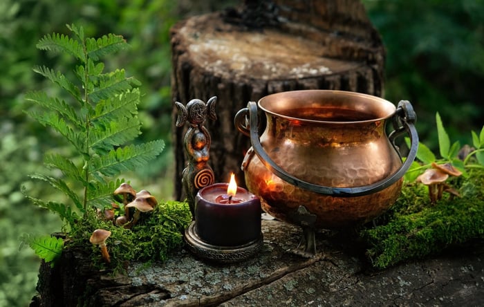 THE TAMED WILD COVEN: JULY SCHEDULE