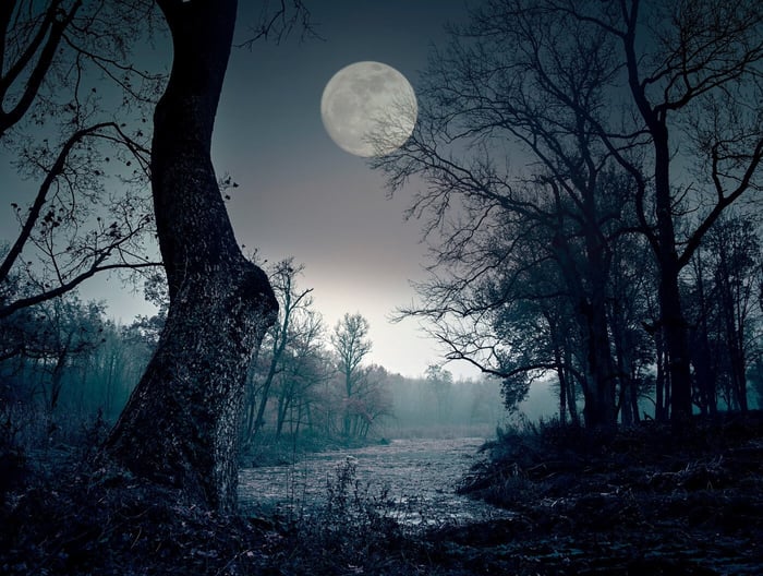 MOON MUSINGS: THE FULL MOON IN SCORPIO