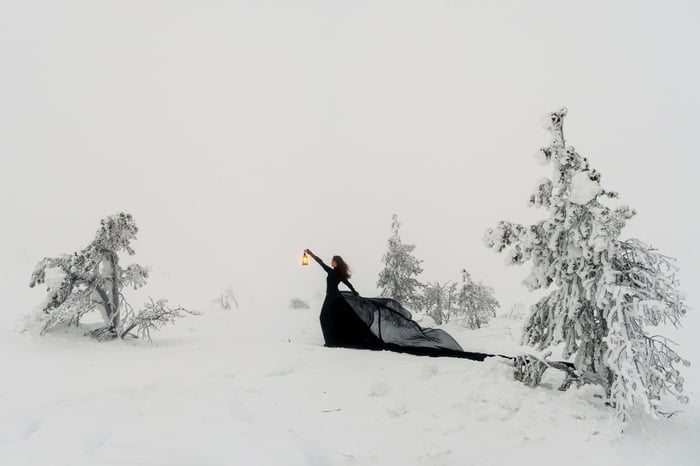 THE TAMED WILD COVEN: DECEMBER SCHEDULE