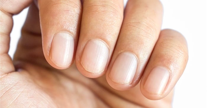 A person holding their nails toward the viewer. The nails are neatly trimmed and closely cut with clean, tidy cuticles.