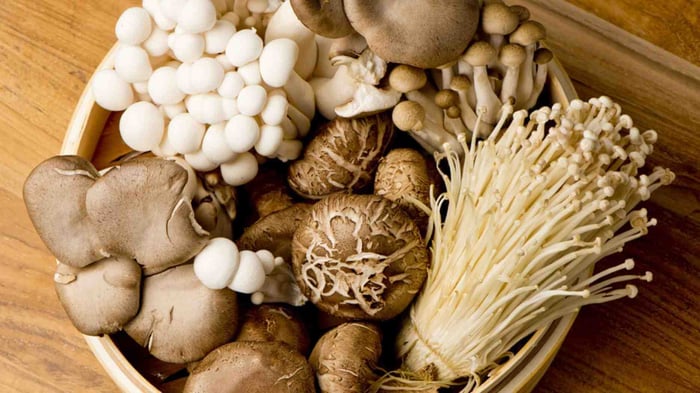 Featured Article:  The Amazing Healing Power of Mushrooms