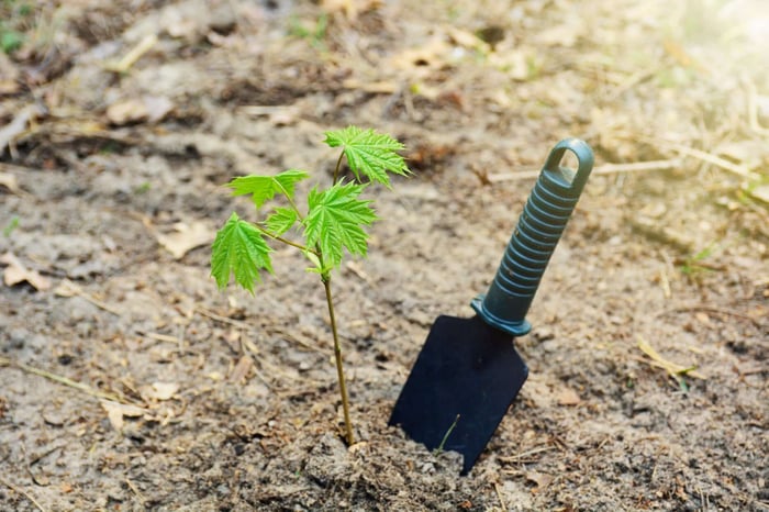 5 Fun Arbor Day Activities for Kids