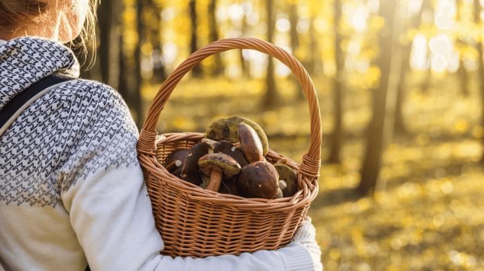 Superfood Spotlight: Mushrooms