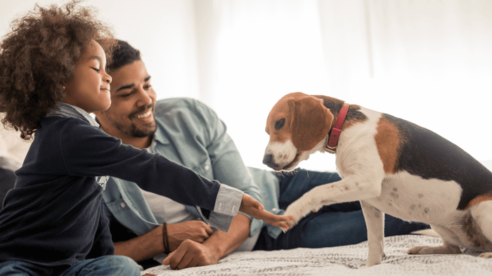 How Do Pets Boost Health and Well-being?