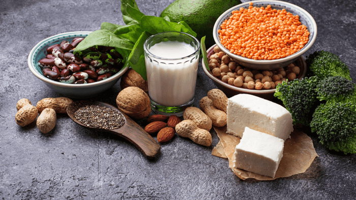 The Vivid Guide to Plant-Based Protein Sources