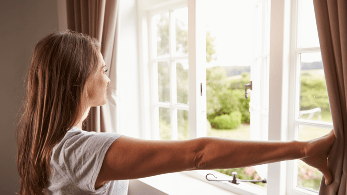 How to Engage with Nature While Staying Home