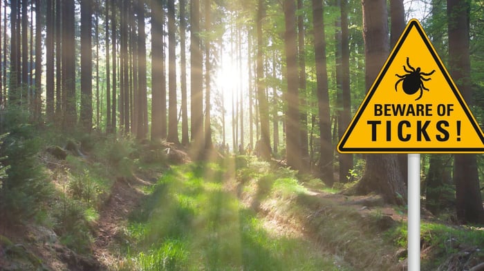 Infrared Sauna Use for Chronic Lyme --Science Backs It