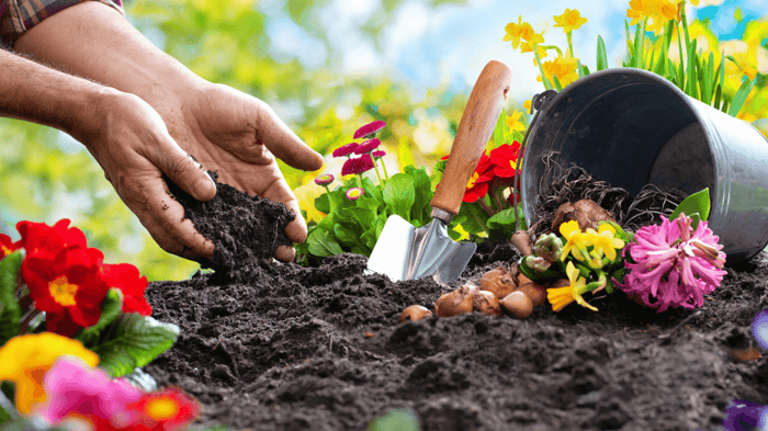 Benefits of Gardening to Sustain Body + Soul