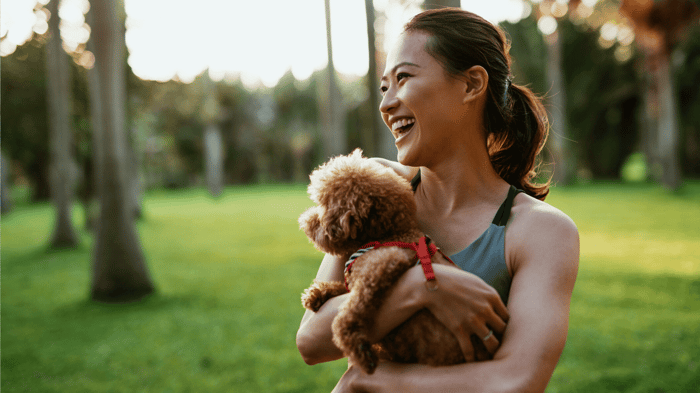 Essential Oils For Skin and Hair and Summer