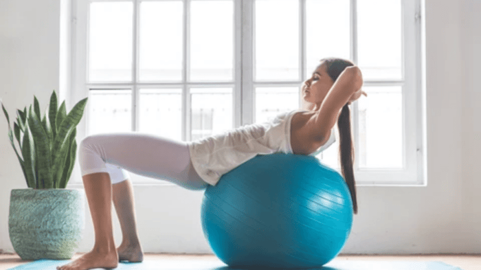 Exercise Ball for Fitness, Stability, Balance and Yoga