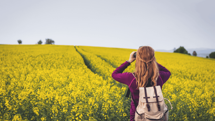 Now is the Time to Become a Birder