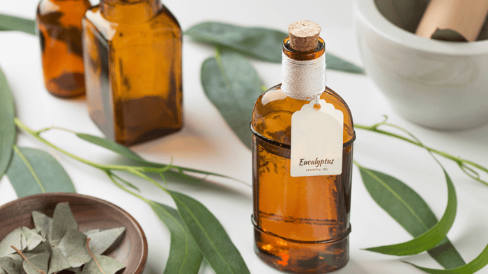 Eucalyptus Oil: The Secret to a Soothing and Invigorating Lifestyle