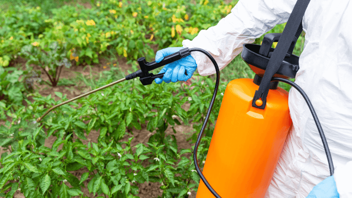 “Roundup” the Truth: Can Glyphosate Cause Cancer?