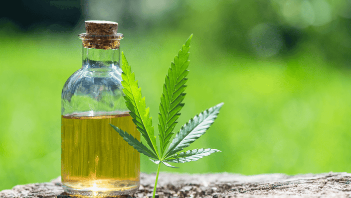 CBD Oil and Skin: What's with All the Buzz?