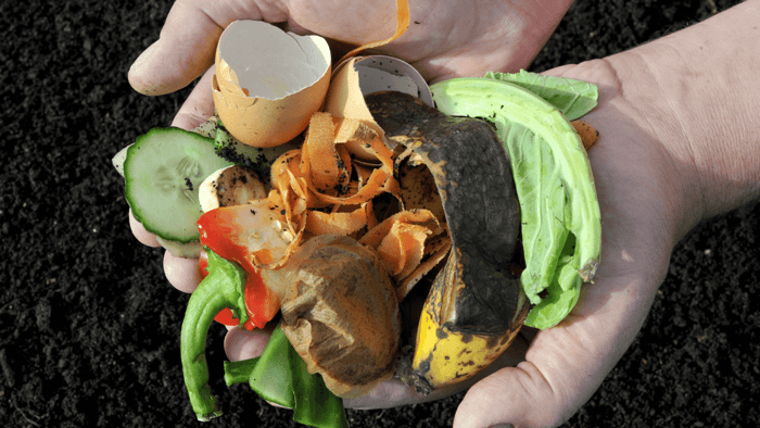 Beginner's Guide to Composting