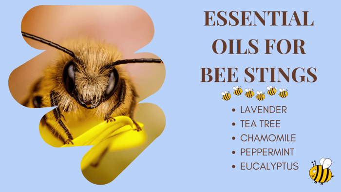 Essential Oils for Bee Stings: Nature's Soothing Remedies