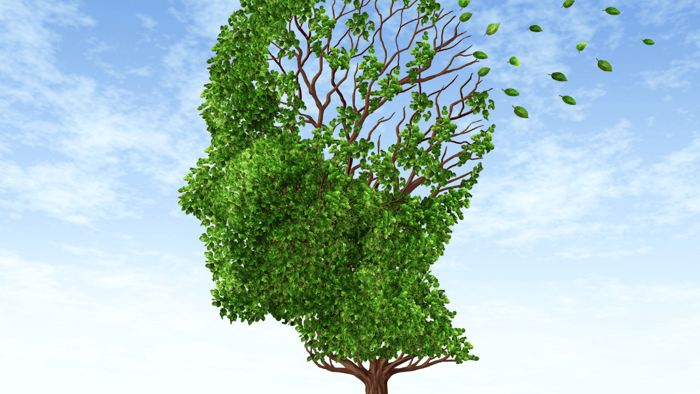 Overcoming Memory Loss as You Age