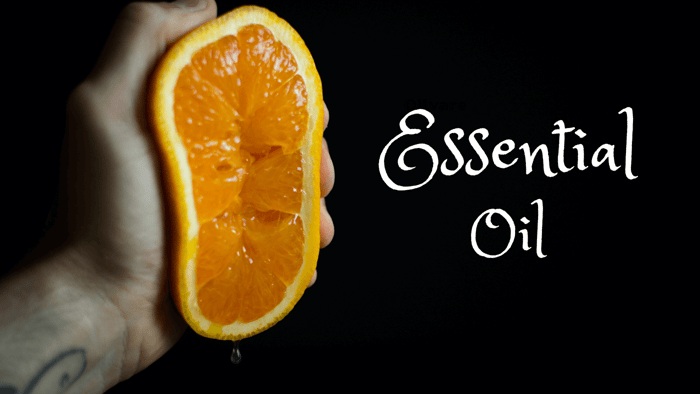 Squeezing the Benefits of Orange Essential Oil