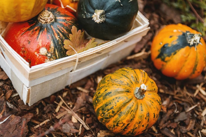 What can I do with my leftover pumpkins?