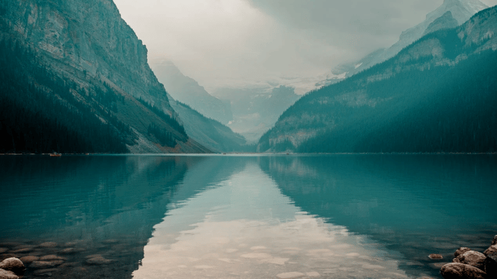 Discover Your Wellness Personality: Take the Quiz!