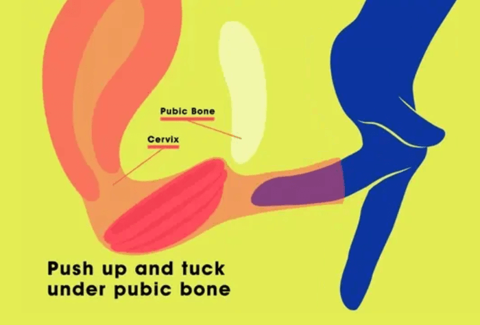 diagram showing where to position a menstrual disc