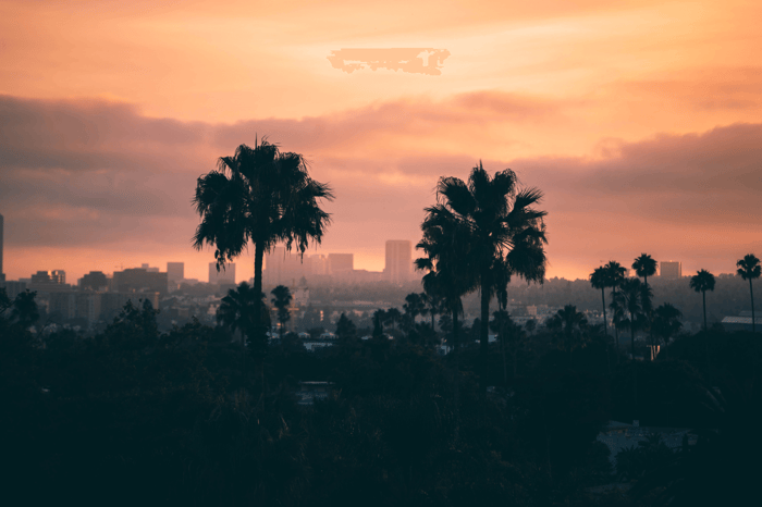 8 Places to Buy Kratom in Los Angeles
