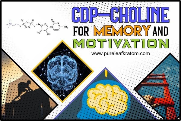 How Can We Use CDP-Choline For Memory And Motivation?