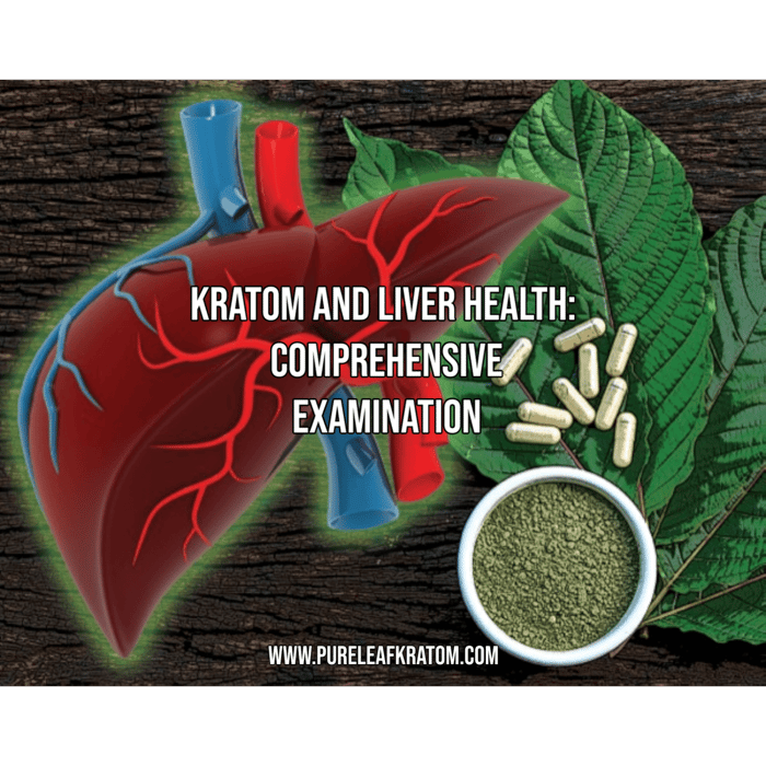How Hard is Kratom on the Liver?: A Comprehensive Examination of Kratom's Impact on Liver Health