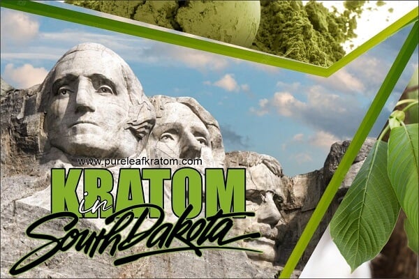 Interesting Facts About Use of Kratom In South Dakota