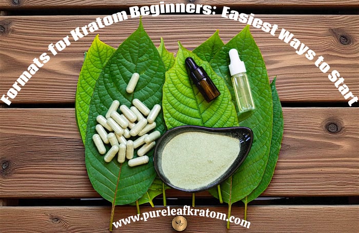 Formats for Kratom Beginners: Easiest Ways to Start