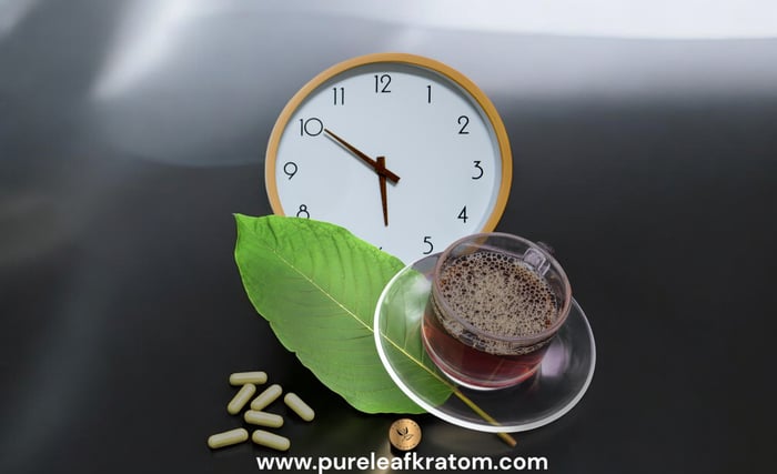 Kratom and the Body: How Long Do Its Effects Really Last?