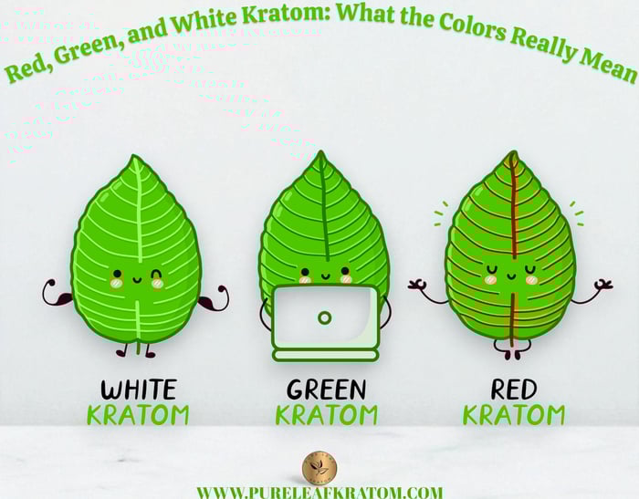 Red, Green, and White Kratom: What the Colors Really Mean