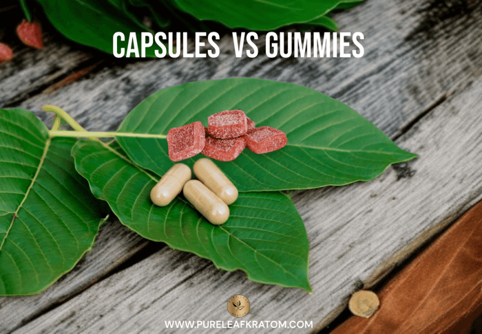 Kratom Gummies vs. Capsules: Which Format Fits Your Lifestyle Best?