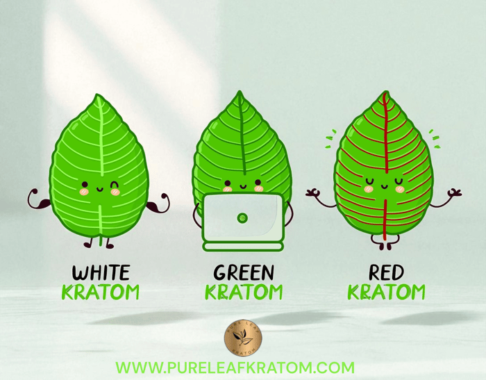 The Most Potent Kratom Strains of the Year: What’s Trending?