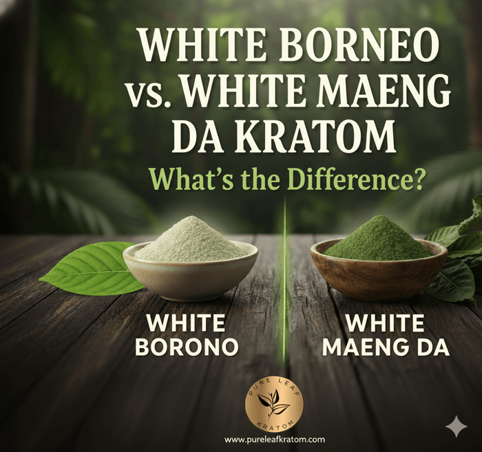 White Borneo vs. White Maeng Da Kratom: What’s the Difference?