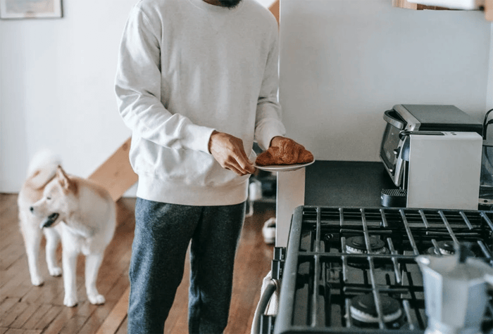 Perfect Pet Friendly Kitchen Exist!
