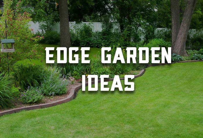 Creative Edge Garden Ideas for a Stunning Outdoor Space