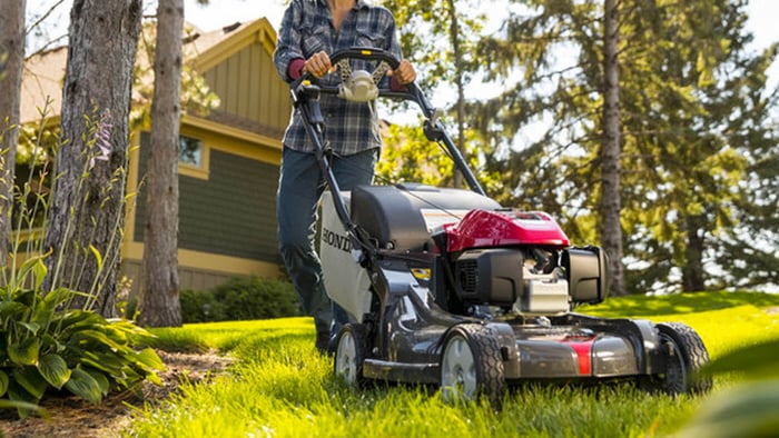 How to Mow Under and Around Trees