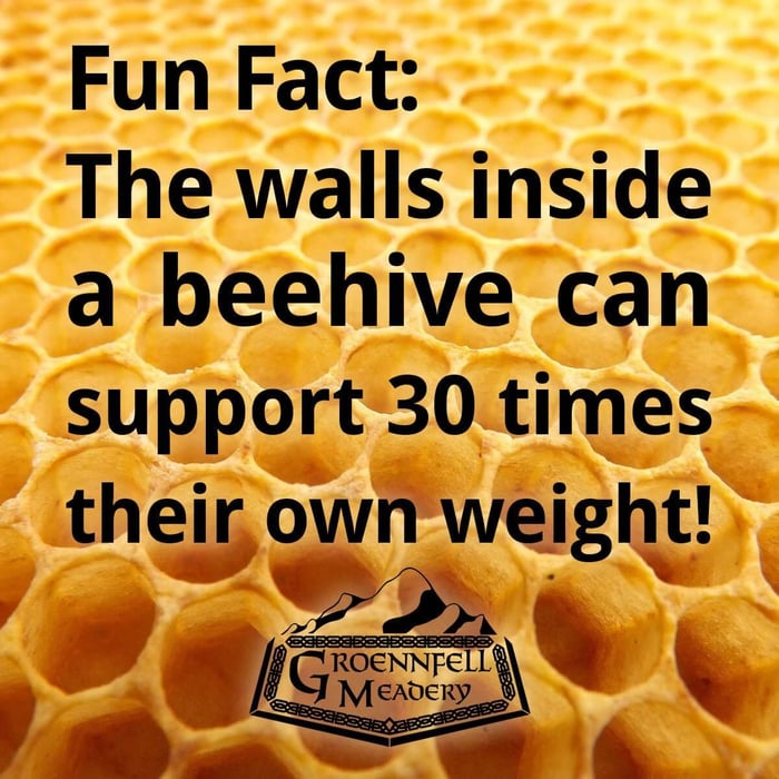 Thursday Fun Fact 3-24: Bestagons