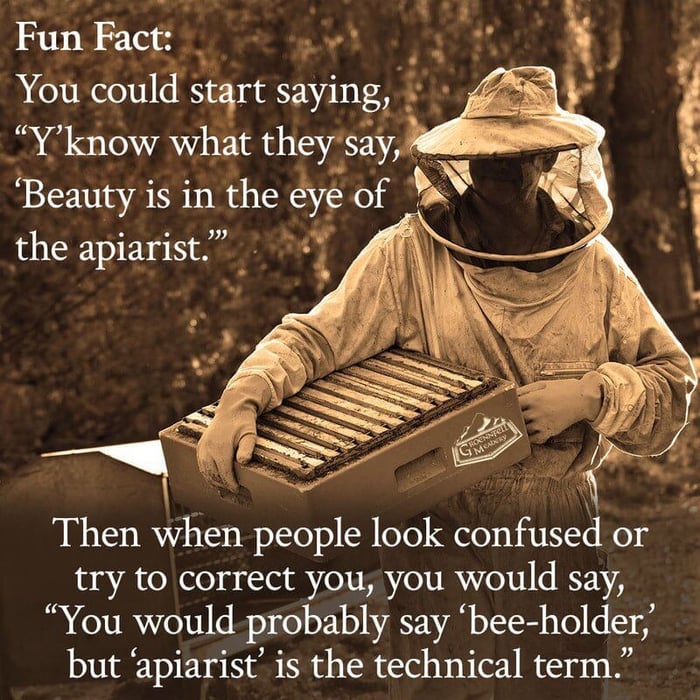 THURSDAY FUN FACT 1-14: BEAUTY