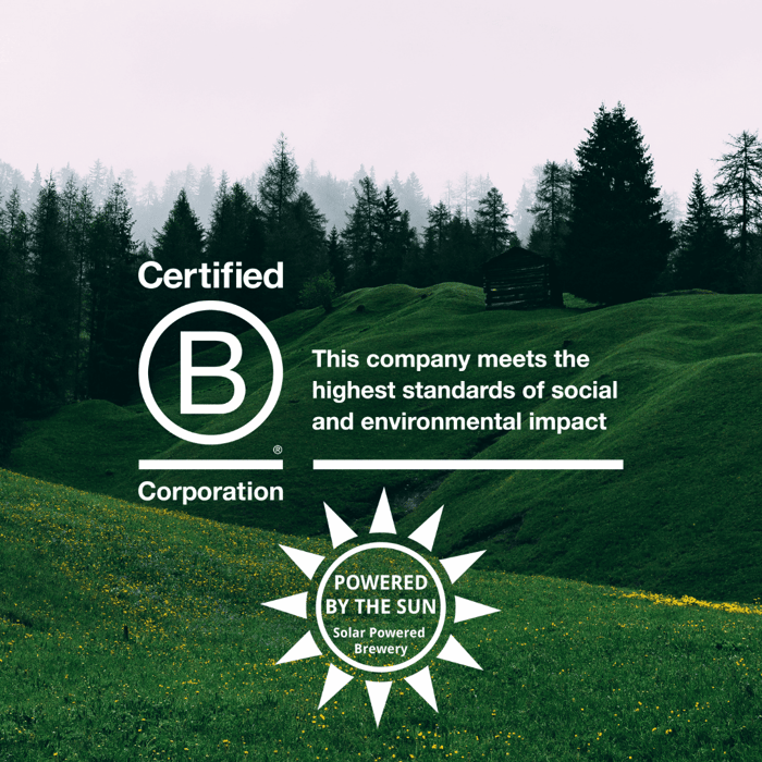 All About B Corps: Interview with Ricky the Meadmaker