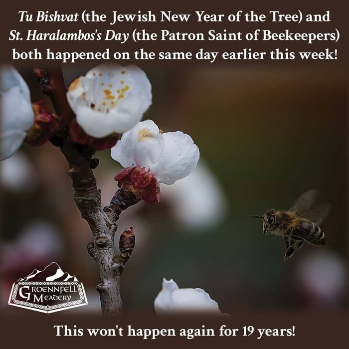 Thursday Fun Fact 2-13: Trees and Bees